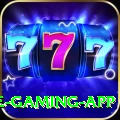 Ybets Ultimate Gaming App
